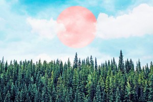 The Best Time For New Beginnings Is NOW